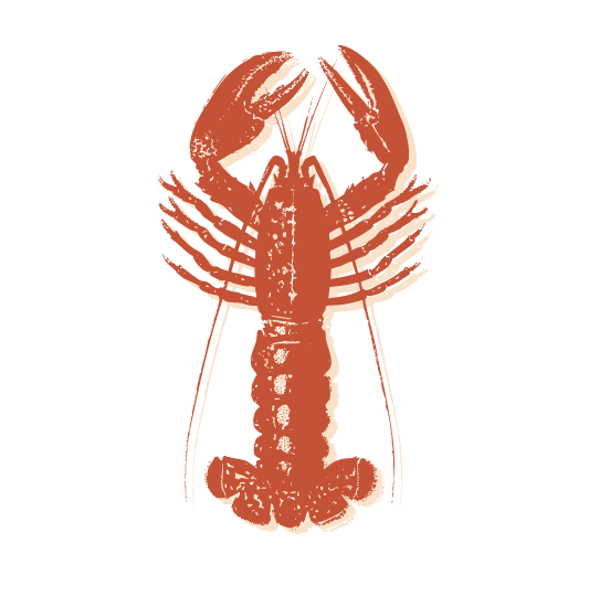 Lobster illustration icon used for Seacoast Fishing Supplies branding