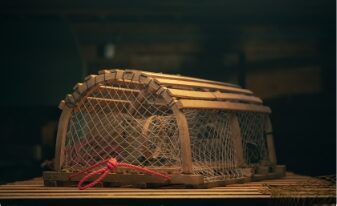 Traditional wooden lobster trap with netting and red rope, built for coastal fishing use